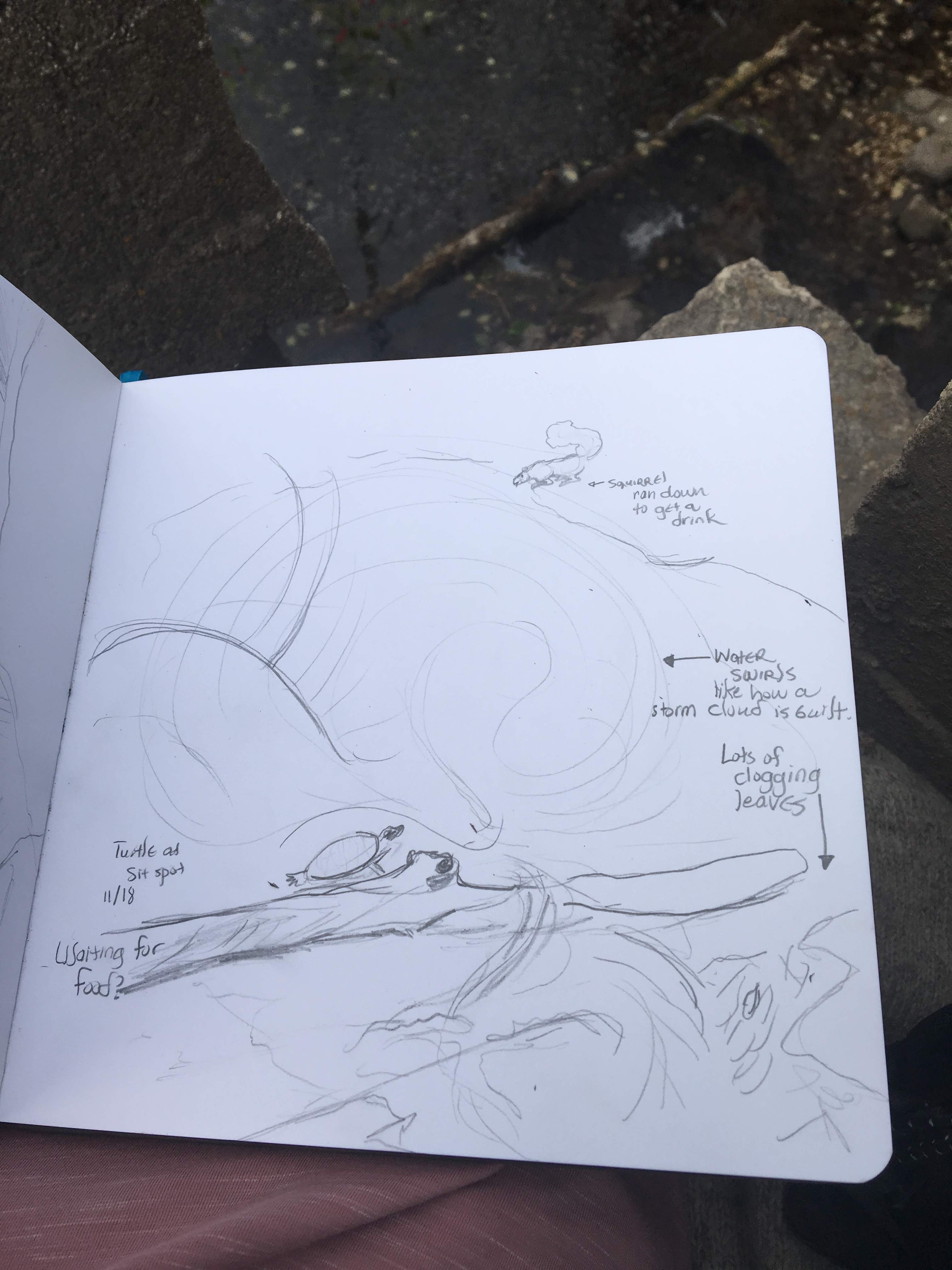 Nature and Nefertari