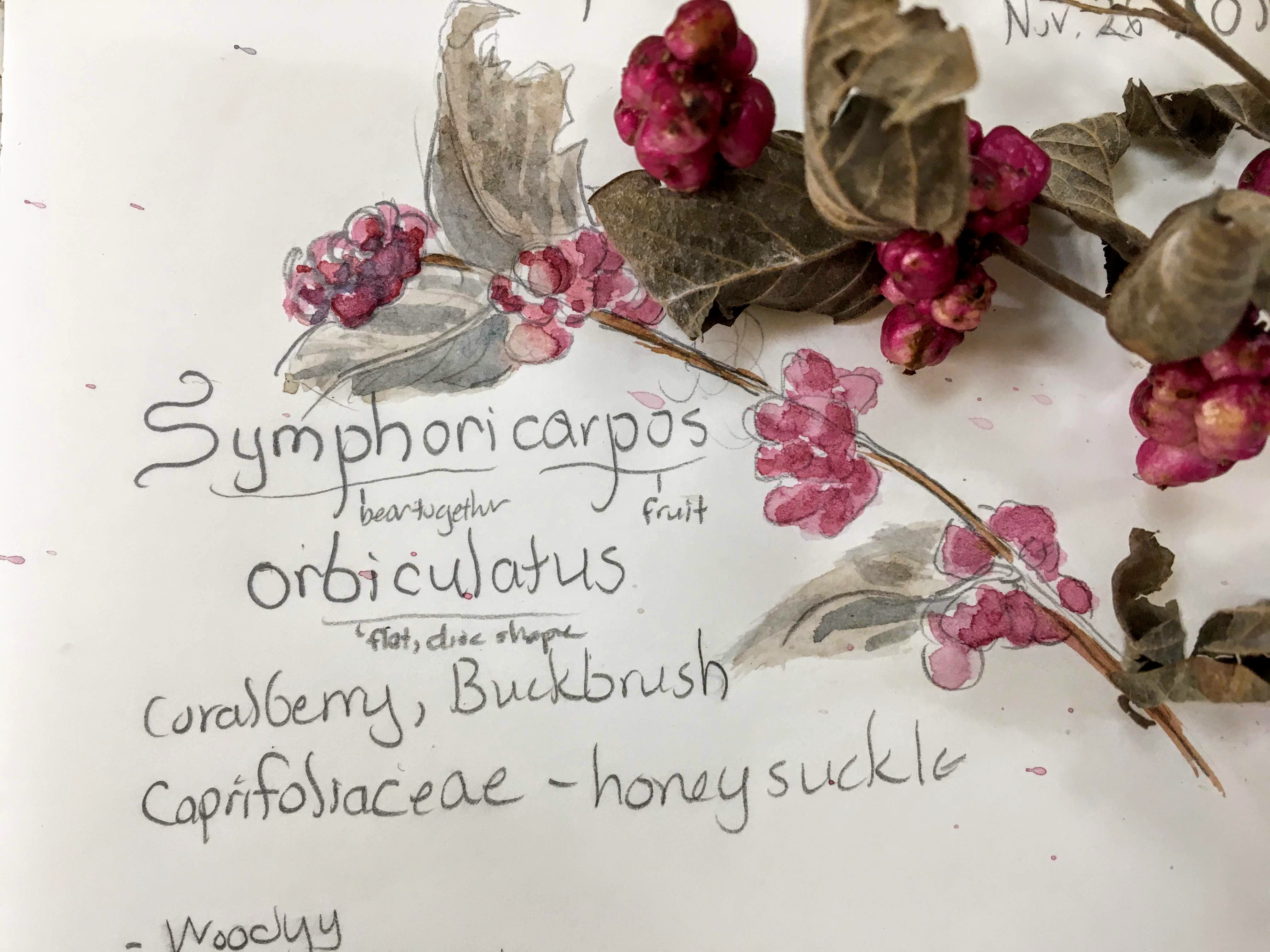 Fruits, Trains, and a Lady