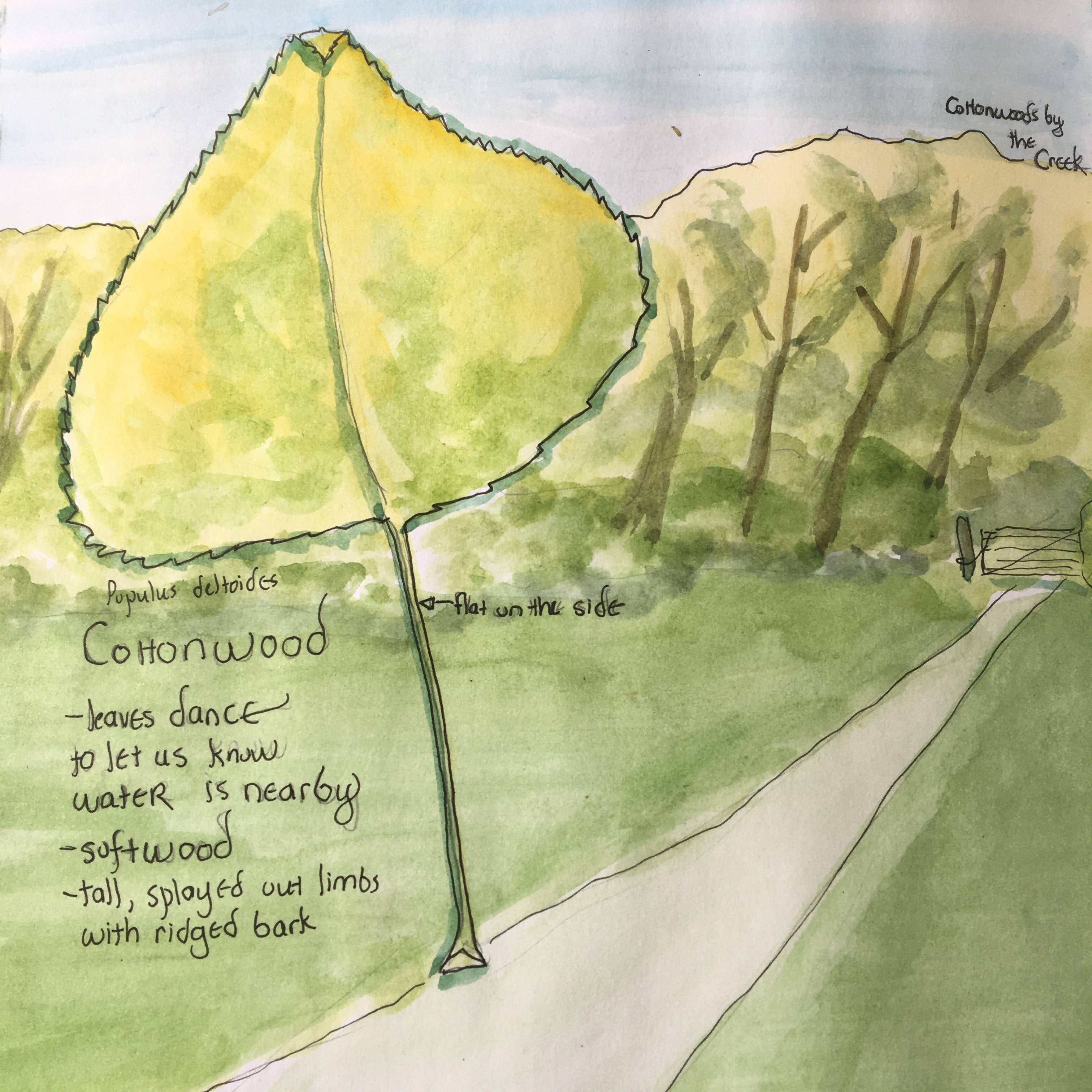 More from the Hallowed Grounds