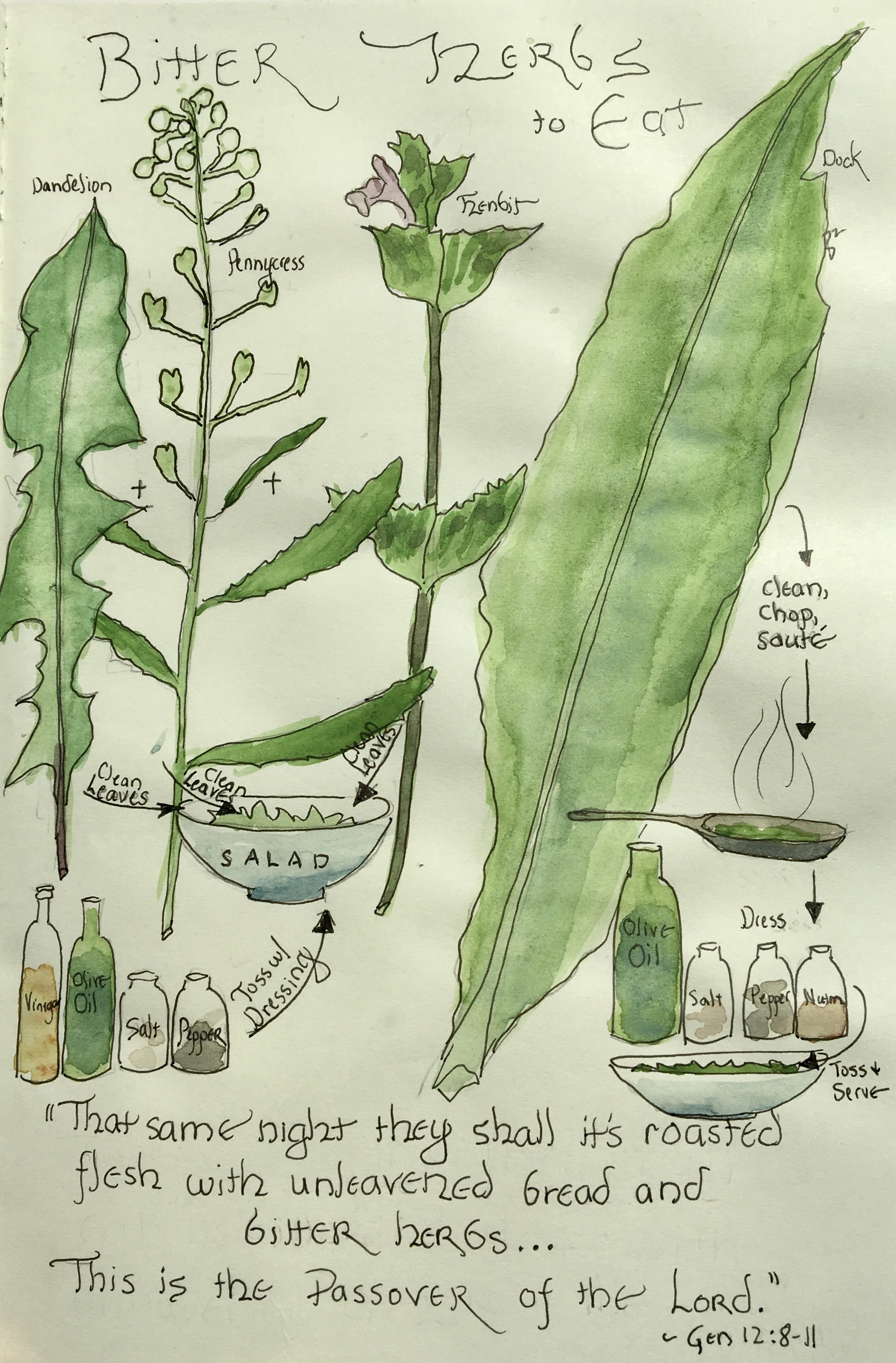 Bitterness and Strength