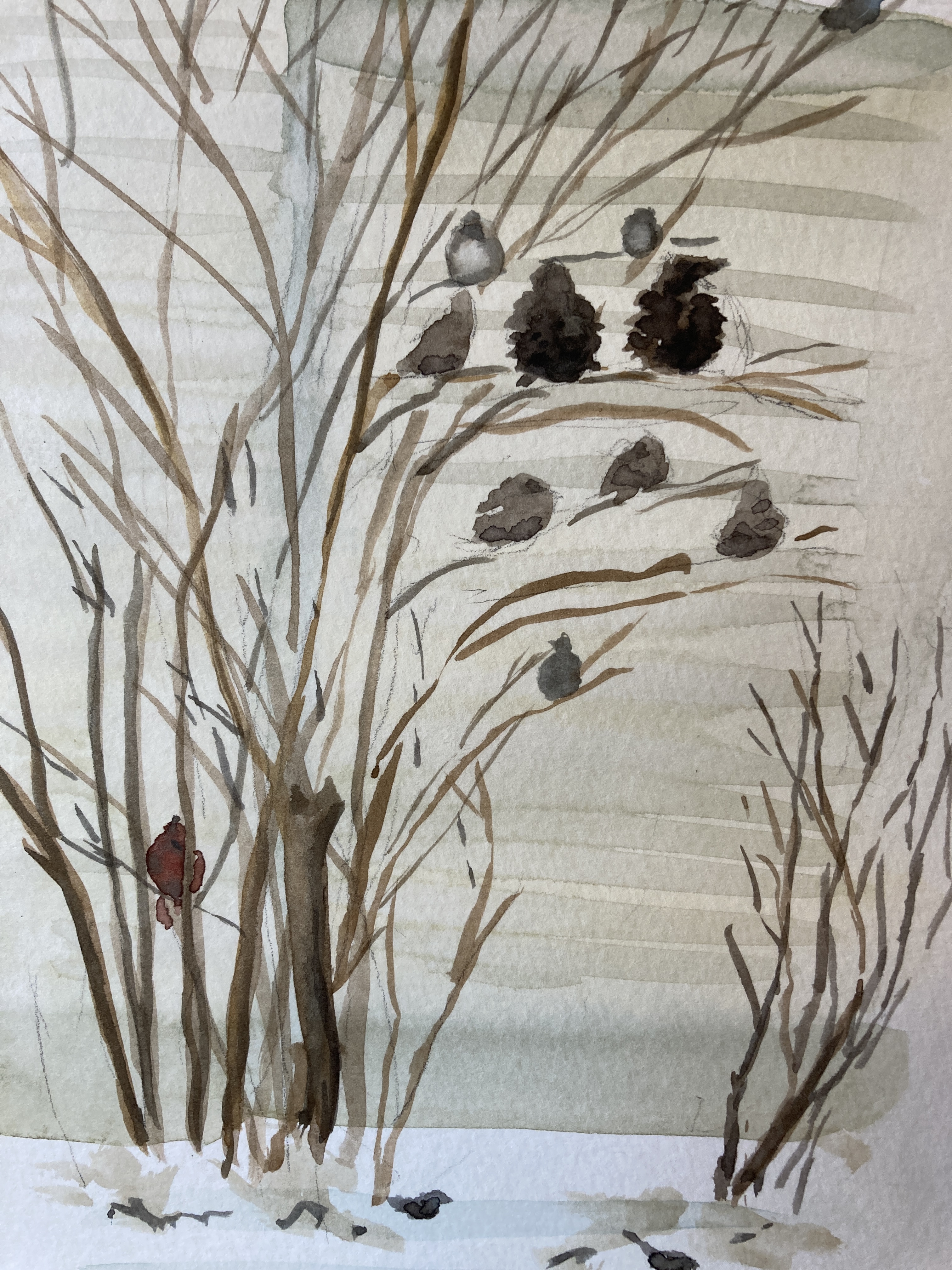 A Valentine’s Day Sight