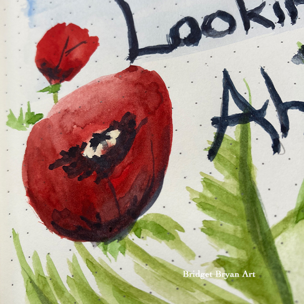 Poppies and Birthdays