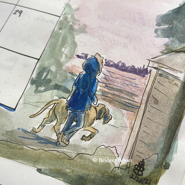 Geese are Everywhere!